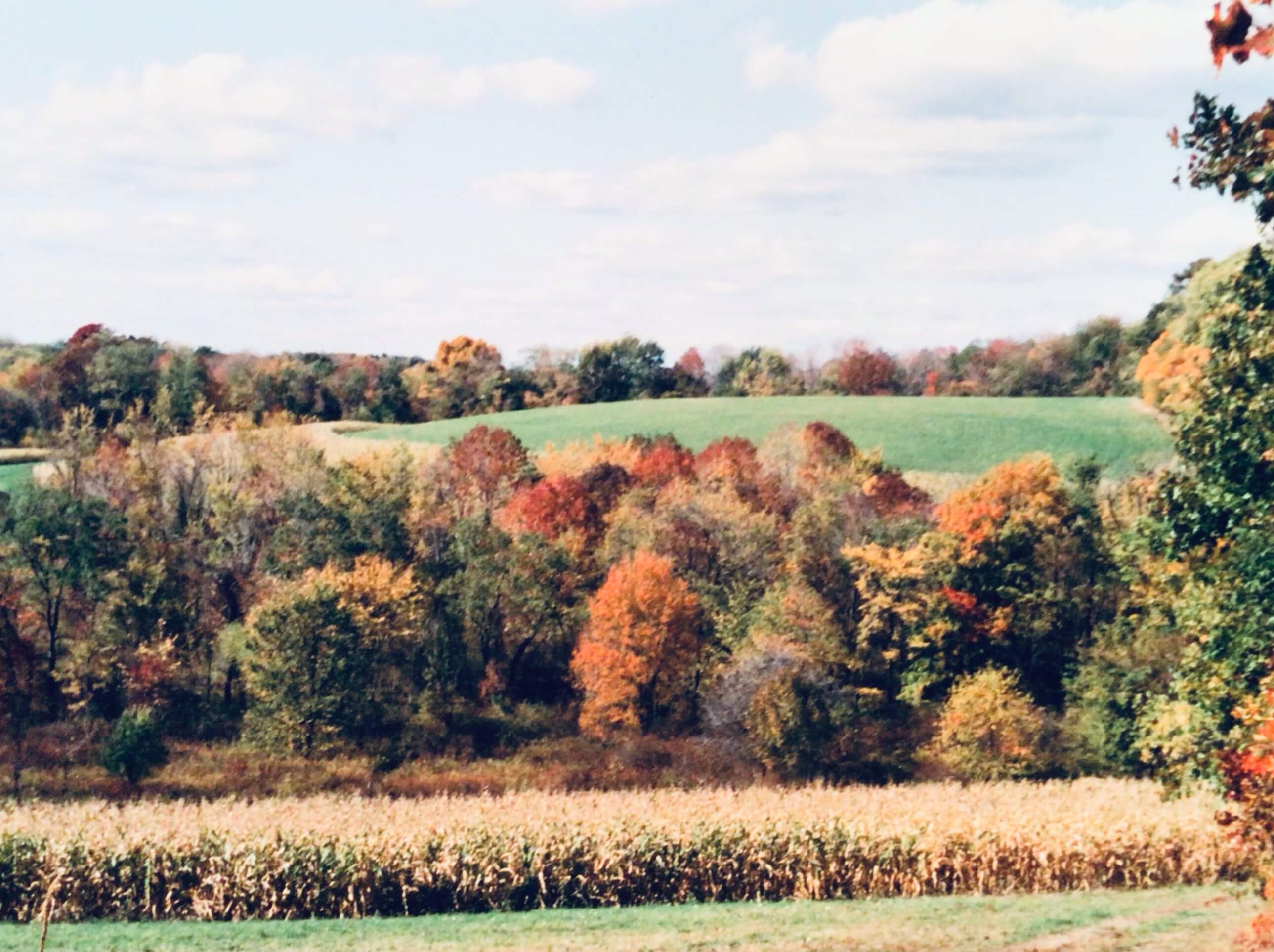 Mt. Hope Farm