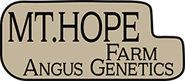 Mt Hope Farm Angus Genetics